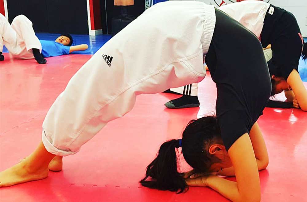 Myungs taekwondo Richmond Hill class