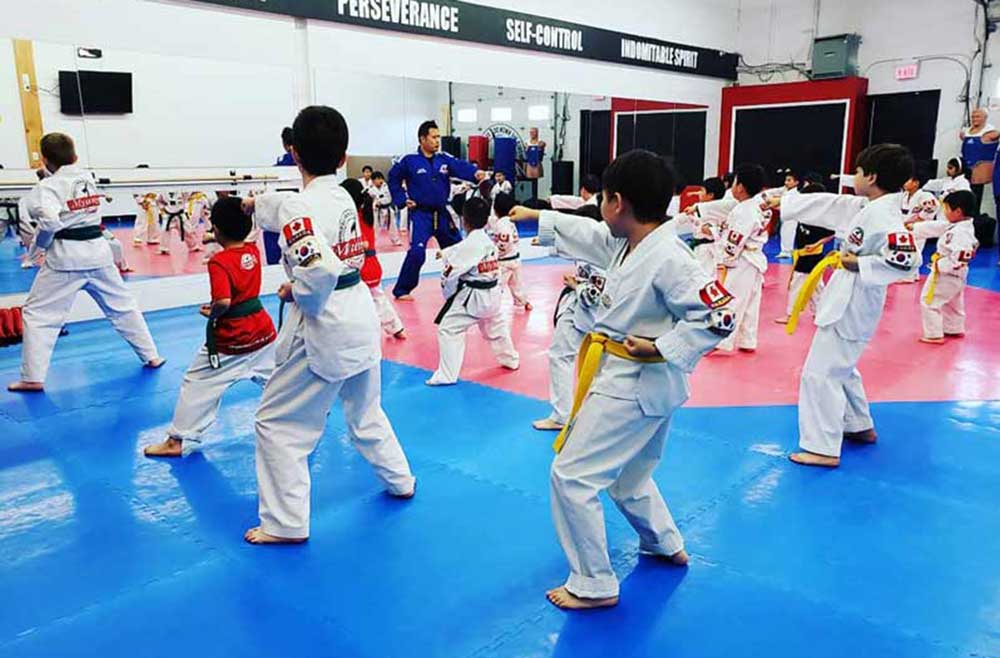 Myungs taekwondo Richmond Hill junior class
