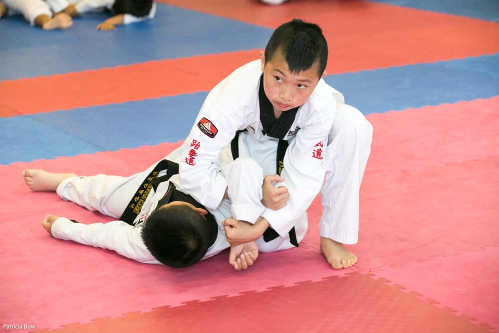 taekwondo self-defence